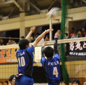 b-volley-1.jpg